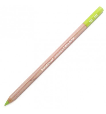 Lápis Pastel Seco Caran D'Ache Middle Moss Green 10% 232