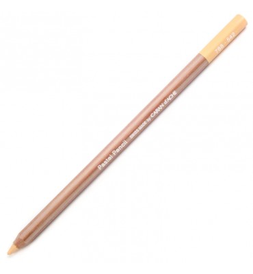 Lápis Pastel Seco Caran D'Ache Light Flesh 10% 542