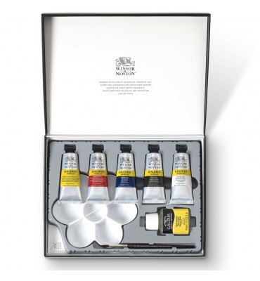 Estojo Tinta Acrílica Galeria Winsor & Newton C/10