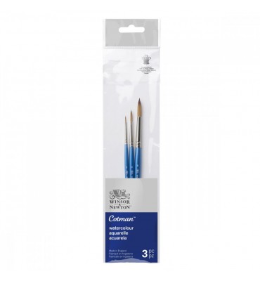 Kit de Pincéis Winsor & Newton Cotman Aquarela 3 unidades