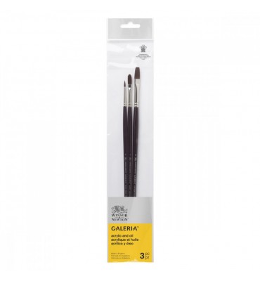 Kit de Pincéis Winsor & Newton Galeria 3 Unidades Cabo Longo