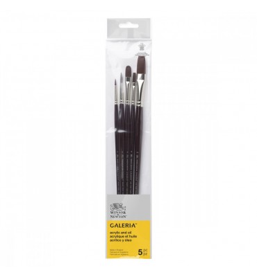 Kit de Pincéis Winsor & Newton Galeria 5 Unidades Cabo Longo