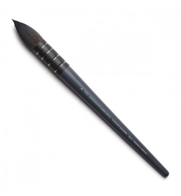 Pincel Winsor & Newton Professional Watercolor Squirrel 8