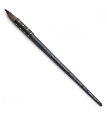 Pincel Winsor & Newton Professional Watercolor Squirrel 00