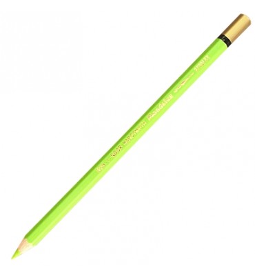 Lápis  de Cor Aquarelável Mondeluz 22 Bice Green