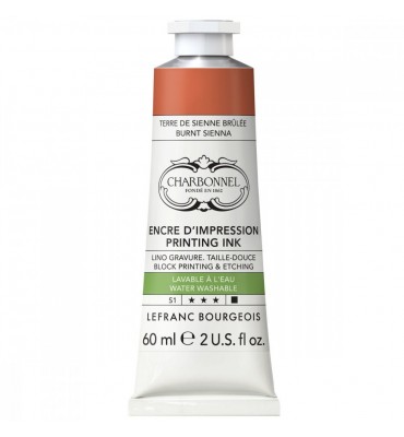 Tinta Aqua Wash Charbonnel 60ml S1 481 Burnt Sienna