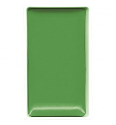 quarela Kuretake Gansai Tambi 505 Ivy Green 