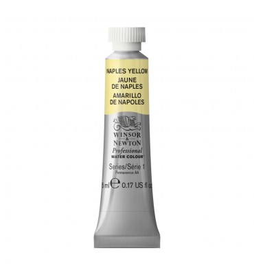 Tinta Aquarela Profissional Winsor & Newton Tubo 5ml S1 422 Naples Yellow