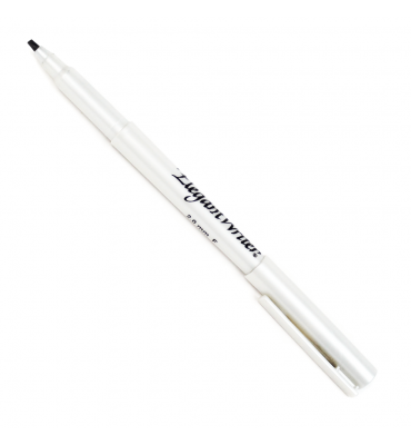 Caneta Caligráfica 2.0F Preta Elegant Writer