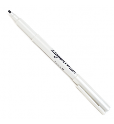 Caneta Caligráfica 2.5M Preta Elegant Writer