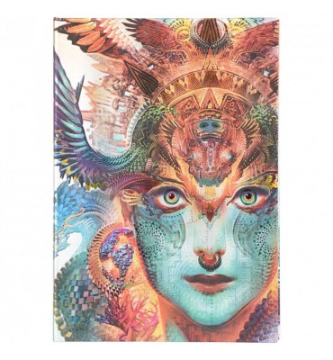 Paperblanks Dharma Dragon Capa Dura Sem Pauta Grande
