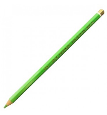 Lápis de Cor Polycolor 3800 23 May Green