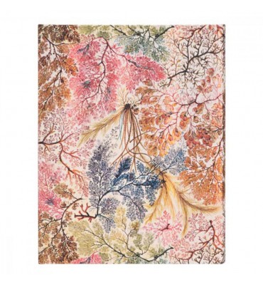 Paperblanks Anemone Pautado Capa Dura Ultra