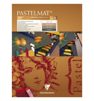 Papel Para Pastel Pastelmat 30x40cm Clairefontaine Nº2