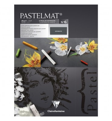 Papel Para Pastel Pastelmat 30x40cm Clairefontaine Nº6