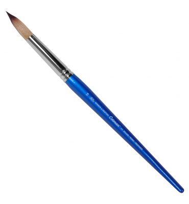 Pincel Redondo Winsor & Newton Cotman 111 14