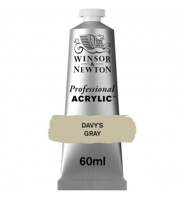 Tinta Acrílica Professional W&N 60ml S1 217 Davys Gray 