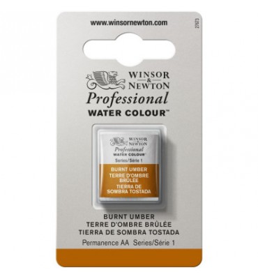 Tinta Aquarela Profissional Winsor & Newton Pastilha S1 076 Burnt Umber