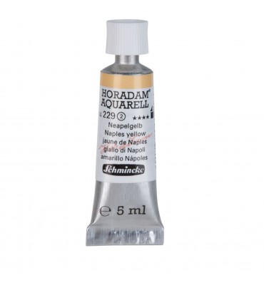 Aquarela Profissional Schmincke Horadam 5ml S2 229 Naples Yellow