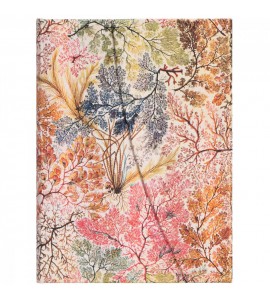 Sketchbook Paperblanks Anemone Midi Capa Dura
