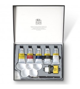 Estojo Tinta Acrílica Galeria Winsor & Newton C/10