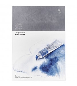 Cartela Winsor & Newton Cores Aquarela Profissional