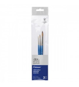 Kit de Pincéis Winsor & Newton Cotman Aquarela 3 unidades