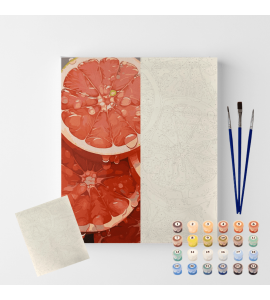 Conjunto Pintura Numerada Arte Terapia 40X50cm Laranjas