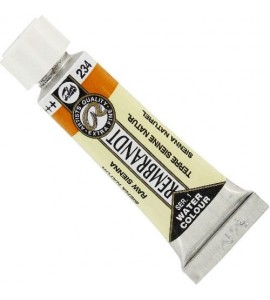 Aquarela Talens Rembrandt 234 5ml Terra de Siena Natural S.1