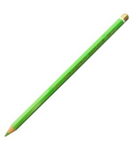 Lápis de Cor Polycolor 3800 23 May Green