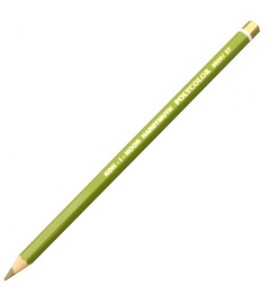 Lápis de Cor Polycolor 3800 27 Olive Green Dark