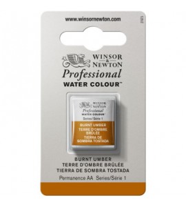 Tinta Aquarela Profissional Winsor & Newton Pastilha S1 076 Burnt Umber