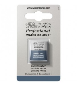 Tinta Aquarela Profissional Winsor & Newton Pastilha S1 465 Payne's Gray