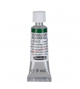 Aquarela Profissional Schmincke Horadam 5ml S2 534 Permanent Green Olive
