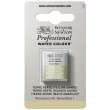 Tinta Aquarela Profissional Winsor & Newton Pastilha S1 638 Terre Verte Yellow