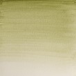 Tinta Aquarela Profissional Winsor & Newton Pastilha S1 638 Terre Verte Yellow