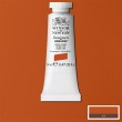 Tinta Guache Designers Winsor & Newton 14ml Gold Ochre S1