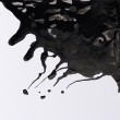 Tinta Nanquim Winsor & Newton 250ml