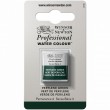 Tinta Aquarela Profissional Winsor & Newton S2 460 Perylene Green Row