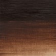 Tinta Óleo Artisan Winsor & Newton Burnt Umber S1 37ml