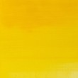 Tinta Óleo Artisan Winsor & Newton Cadmium Yellow Pale Hue S1 37ml
