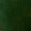 Tinta Acrílica Liquitex Basics 720 Hookers Green Hue 400ml