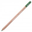 Lápis Pastel Seco Caran D'Ache Moss Green 225