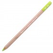 Lápis Pastel Seco Caran D'Ache Middle Moss Green 10% 232