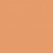 Tinta Spray Liquitex  Acrílica 5330 Raw Sienna 5 400ml