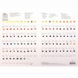 Cartela Winsor & Newton Cores Aquarela Profissional