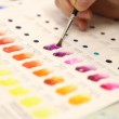 Cartela Winsor & Newton Cores Aquarela Profissional