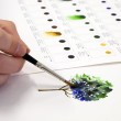 Cartela Winsor & Newton Cores Aquarela Profissional