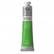 Tinta Óleo Winsor & Newton 403 Phthalo Yellow Green 200ml Winton