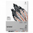 Bloco Bristol Winsor & Newton A5 250g 20 Folhas